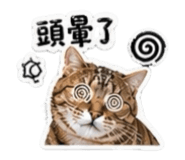 842366639