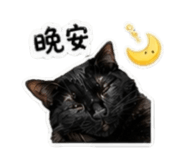 842366643