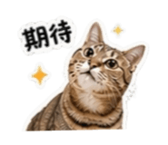 842366645