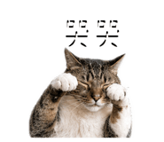 842366829