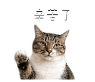 842366831