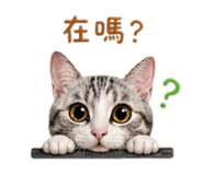 842366900