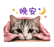 842366917