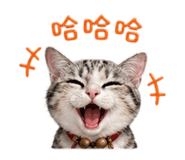 842366918