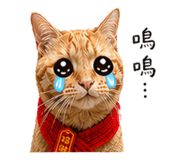 842367211