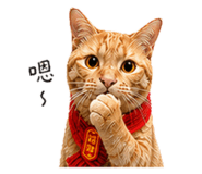 842367223