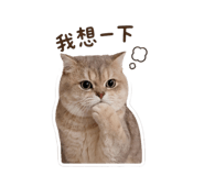 842367372