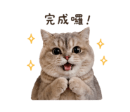 842367379