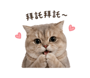 842367381