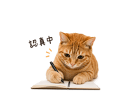 842367683