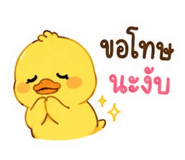 842369372
