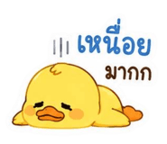 842369376