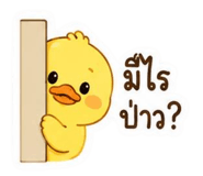 842369381
