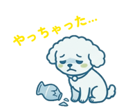 842369497