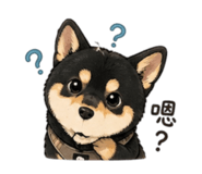 842371005