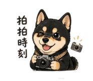 842371010