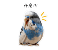 842371213