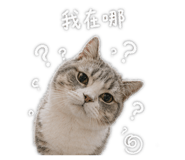 842371556