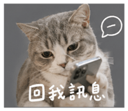 842371566