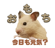 842372222