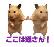 842372224