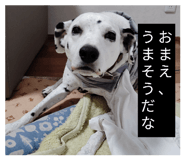 842372444