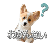842372738
