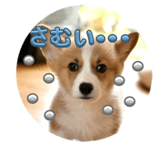 842372747