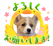 842372754