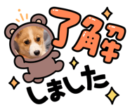 842372755