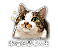 842372769