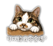 842372776