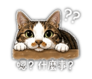 842372777