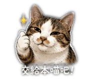 842372794