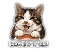 842372796