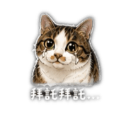 842372799