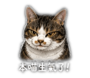 842372804