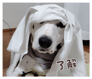 842372856