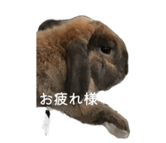842372876