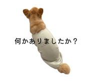 842372877