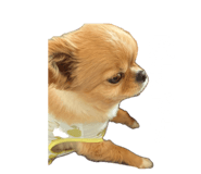 842372878