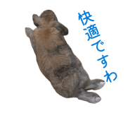 842372879