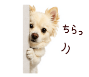 842373157