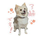 842373158