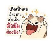 842373335