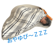 842373343