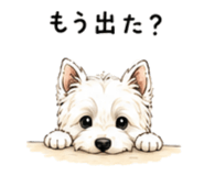 842373539