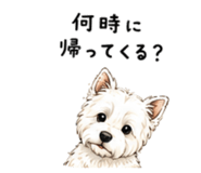 842373541