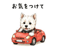 842373552