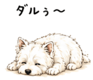 842373556